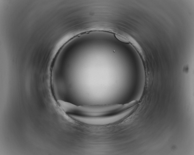 X0000091451096200708161253