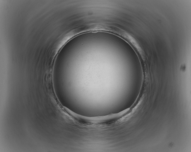 X0000091451097200708161253