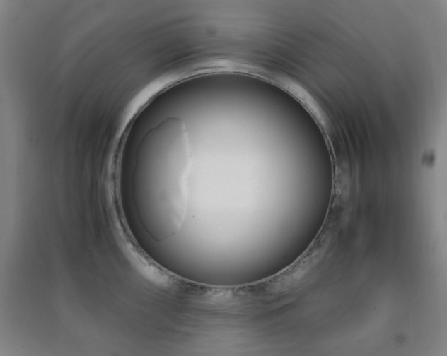 X0000091451098200708161253