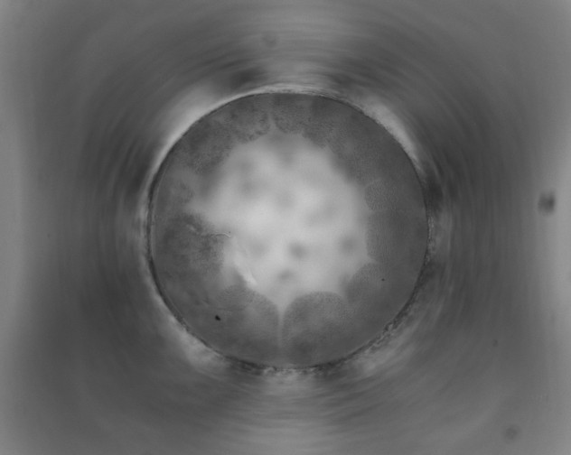 X0000091451099200708161253
