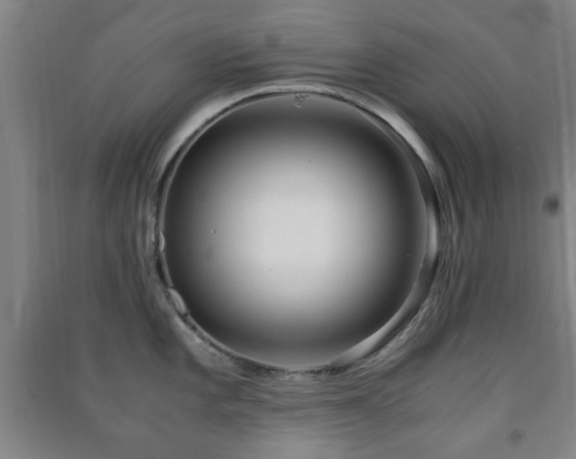 X0000091451101200708161253