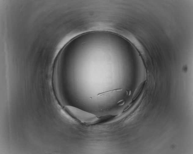 X0000091451102200708161253