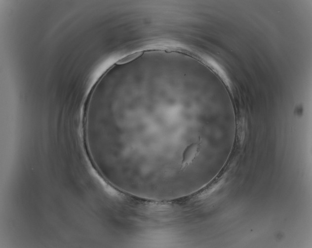 X0000091451103200708161253