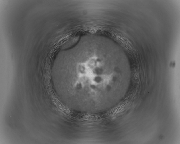 X0000091451105200708161252