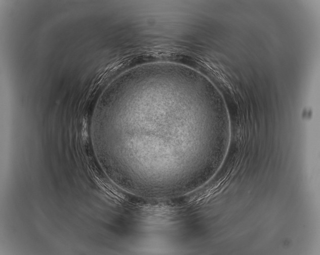 X0000091451106200708161252