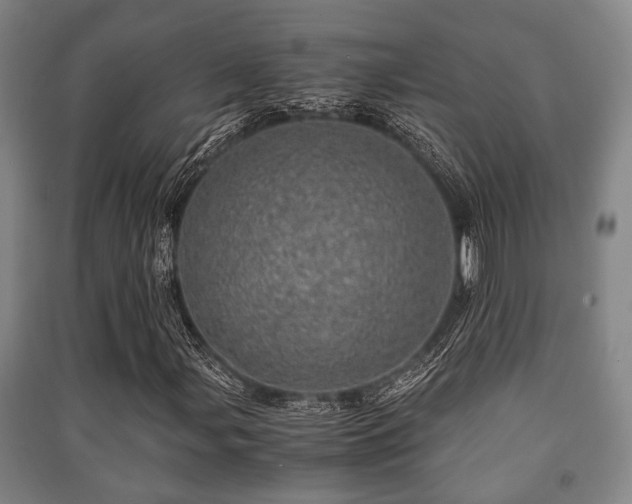 X0000091451107200708161252