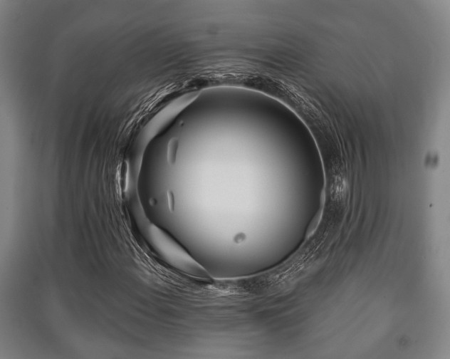 X0000091451108200708161252