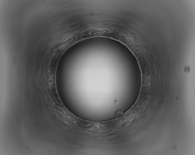 X0000091451109200708161252
