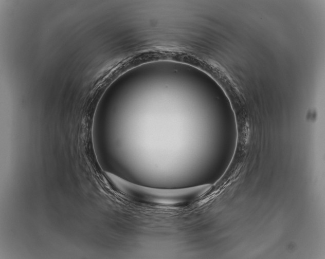 X0000091451110200708161252