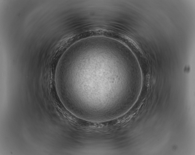X0000091451111200708161252
