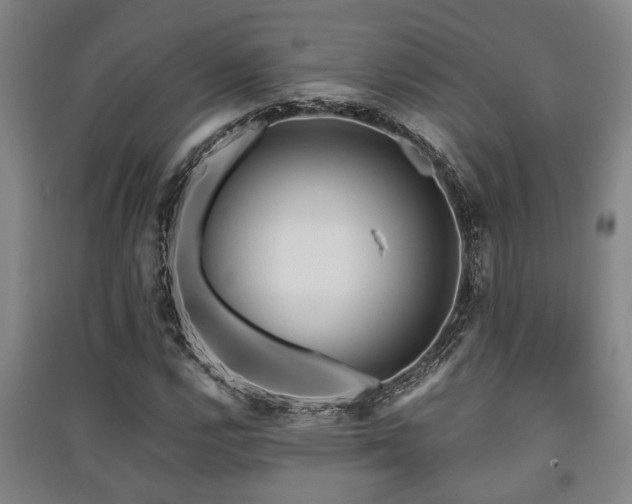 X0000091451112200708161252
