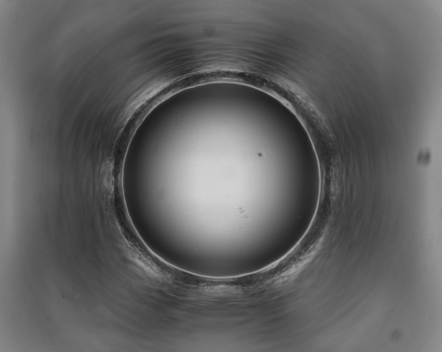 X0000091451113200708161252