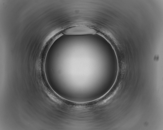 X0000091451114200708161253