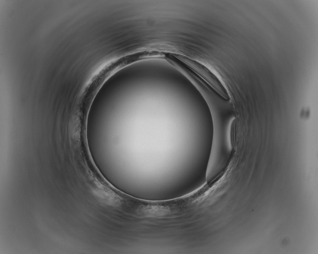 X0000091451115200708161253