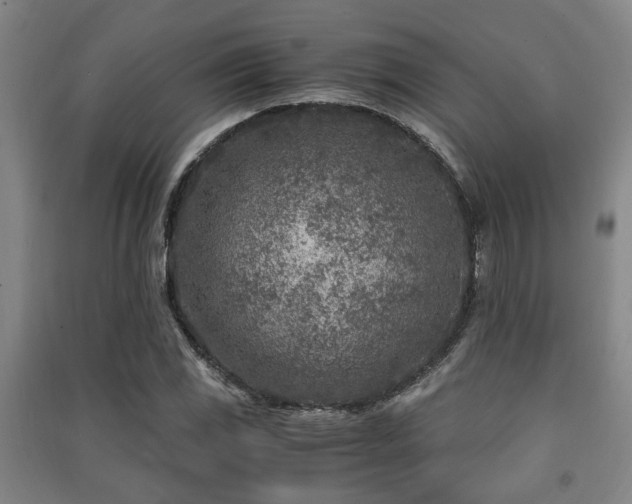 X0000091451117200708161253
