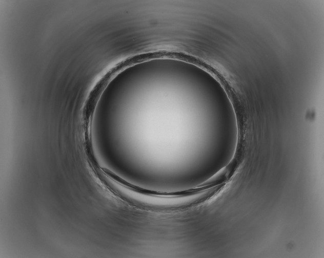 X0000091451118200708161253