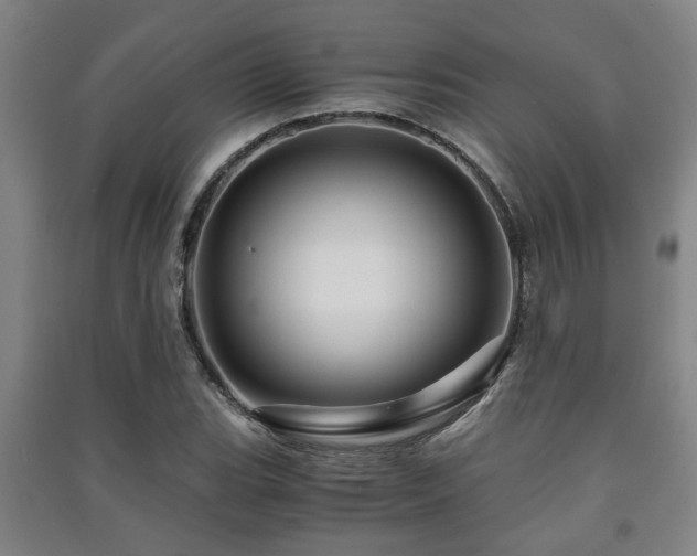 X0000091451119200708161253