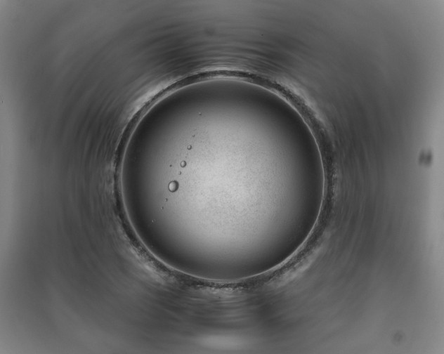 X0000091451121200708161253