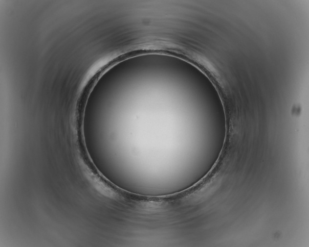 X0000091451122200708161253