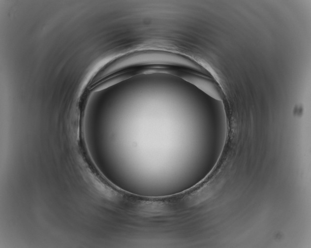 X0000091451123200708161253