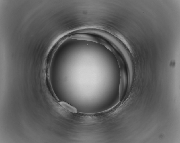 X0000091451124200708161253