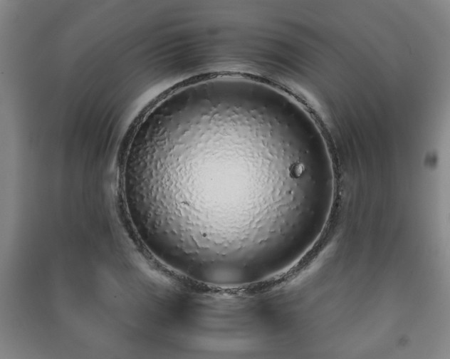 X0000091451125200708161253