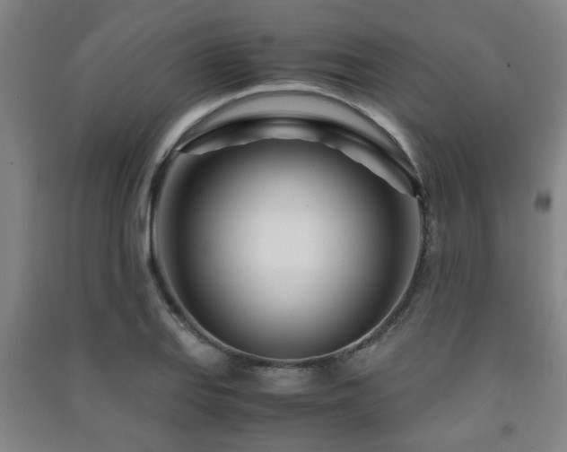 X0000091451127200708161253