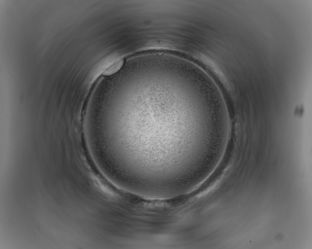 X0000091451129200708161253
