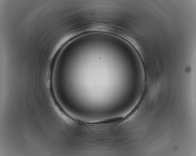 X0000091451131200708161253