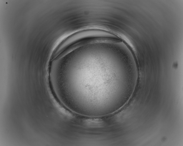 X0000091451133200708161253