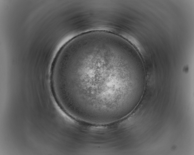 X0000091451135200708161253