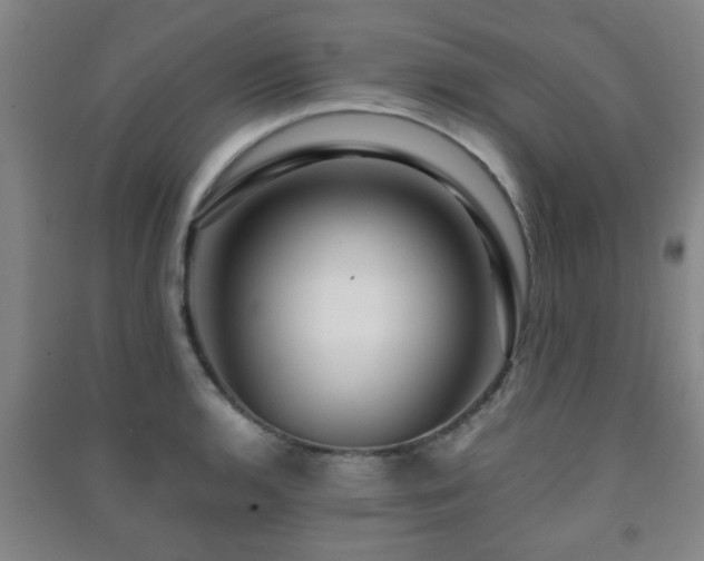X0000091451136200708161253