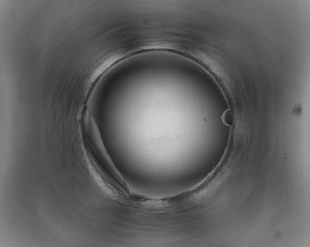 X0000091451137200708161253