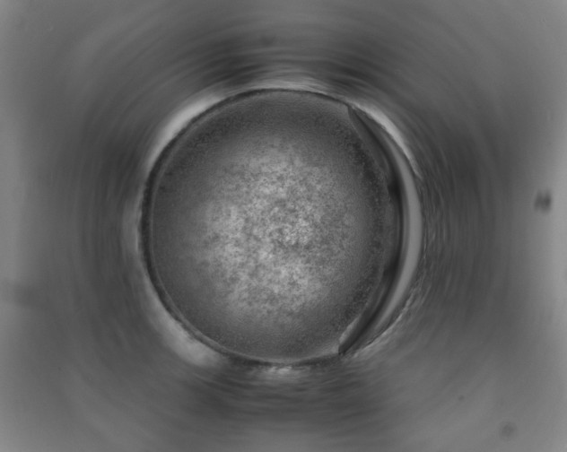 X0000091451139200708161253
