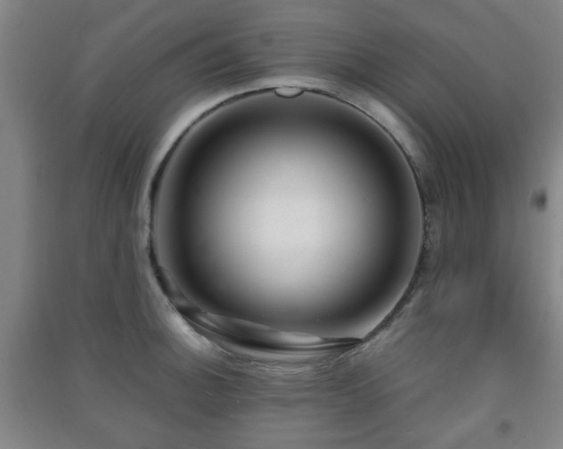 X0000091451140200708161253