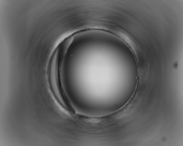 X0000091451141200708161253