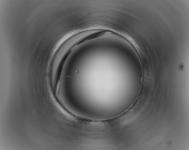 X0000091451142200708161253