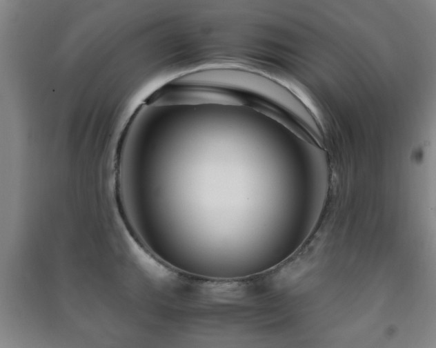 X0000091451143200708161253