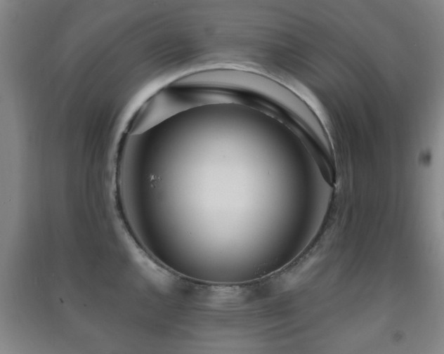 X0000091451144200708161253