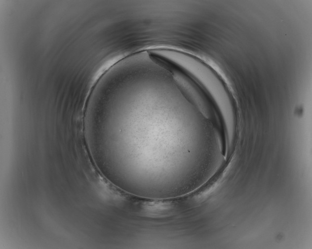 X0000091451145200708161253