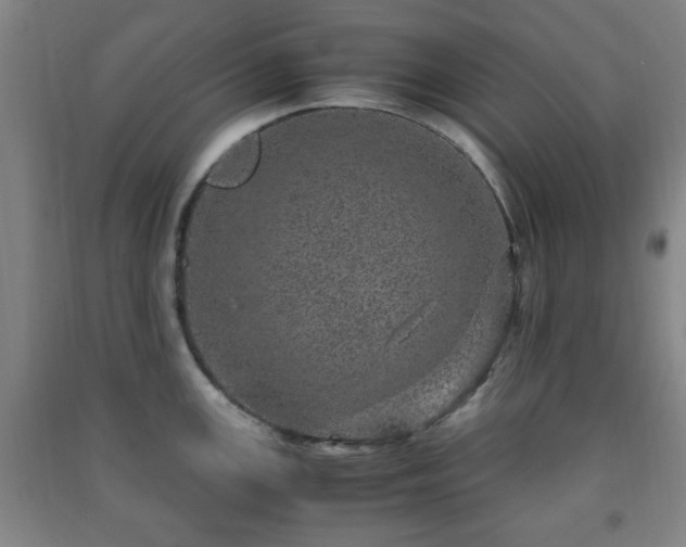 X0000091451147200708161253