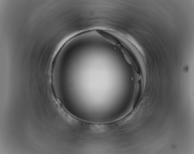 X0000091451148200708161253