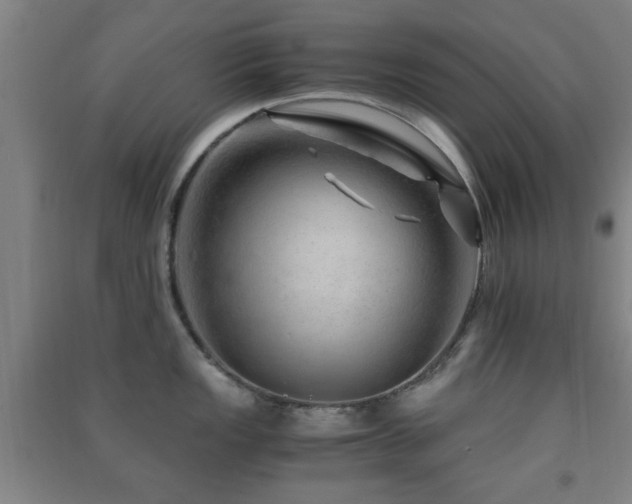 X0000091451149200708161253