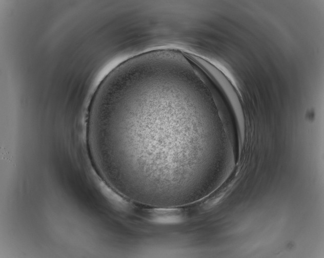 X0000091451151200708161253