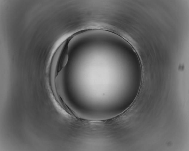 X0000091451152200708161253