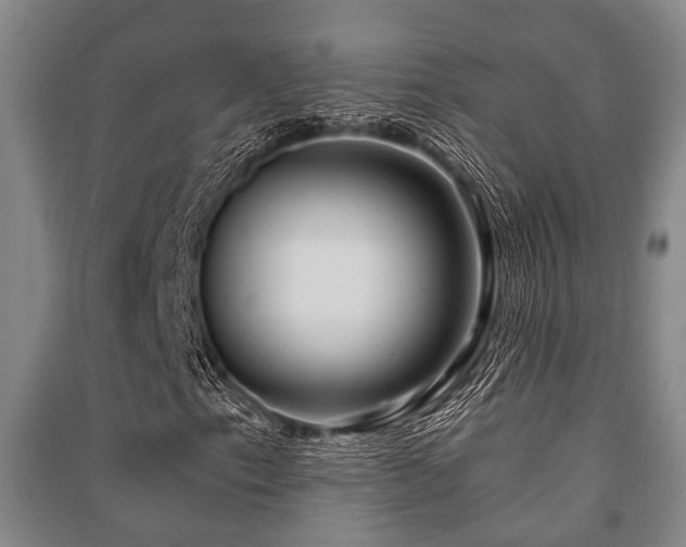 X0000091451153200708161252