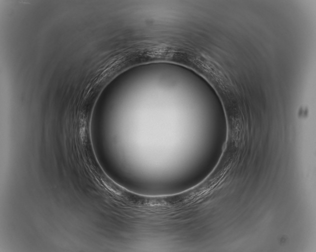 X0000091451154200708161252