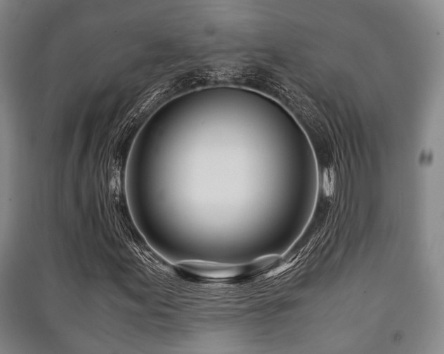 X0000091451155200708161252