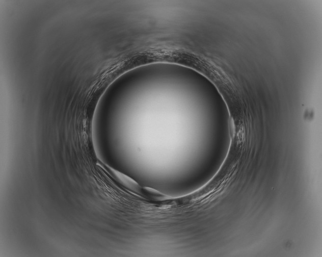 X0000091451156200708161252