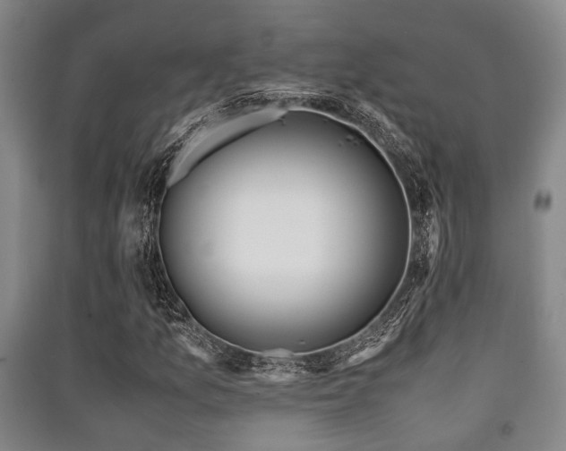 X0000091451157200708161252